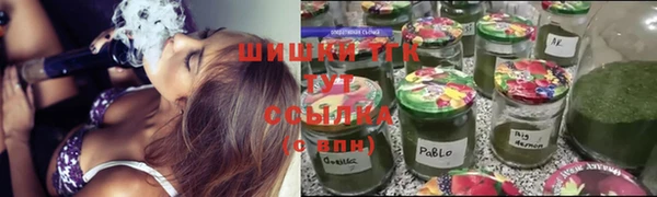 шишки Алексин