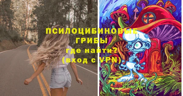 шишки Алексин