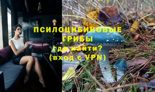 эйфоретик Алзамай