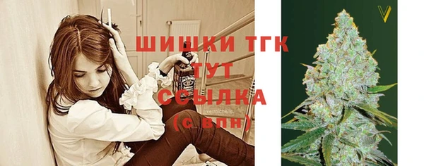 шишки Алексин