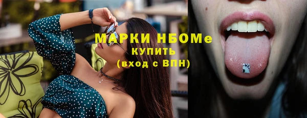 гашик Каменка