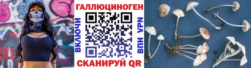 Галлюциногенные грибы мухоморы  что такое   Пошехонье 