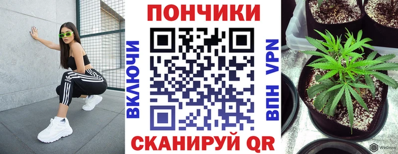 Канабис Ganja Пошехонье