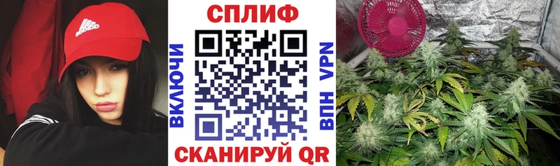 Конопля MAZAR  Пошехонье 